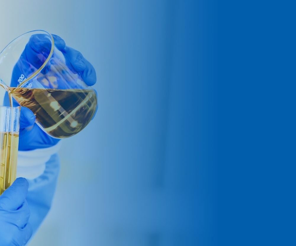 Untitled design (19)